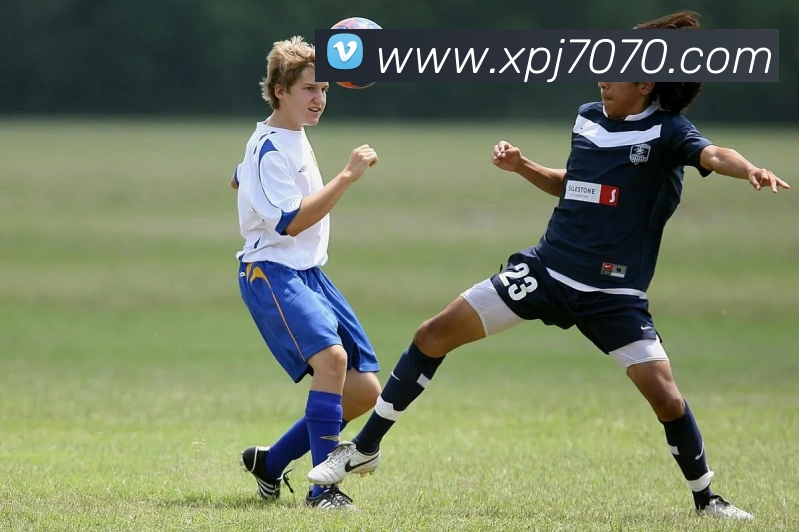 澳门新葡京入口平台生态图