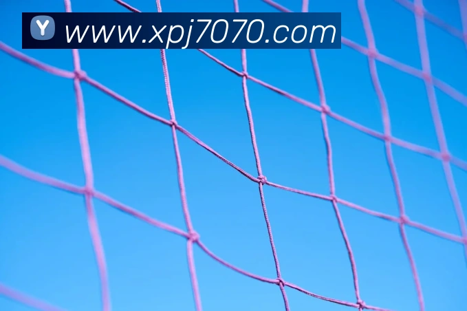 澳门新葡京入口APP 封面图